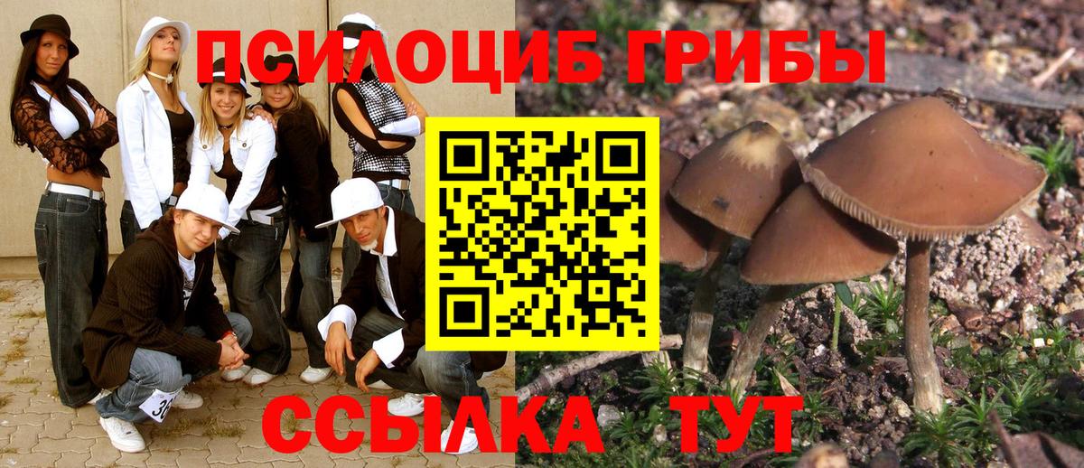 Марихуана  ГАШИШ  Кунгур  Вход с VPN  ГАШ  Мефедрон кристаллы  Марихуана 