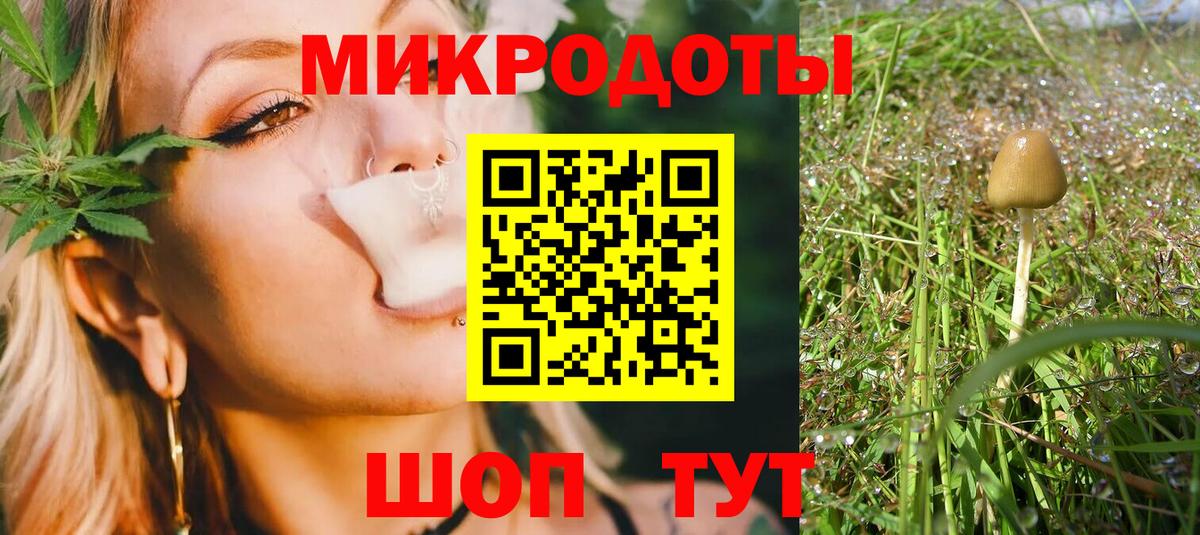 Галлюциногенные грибы Psilocybe  Вход с VPN  Кунгур  Псилоцибиновые грибы Cubensis 