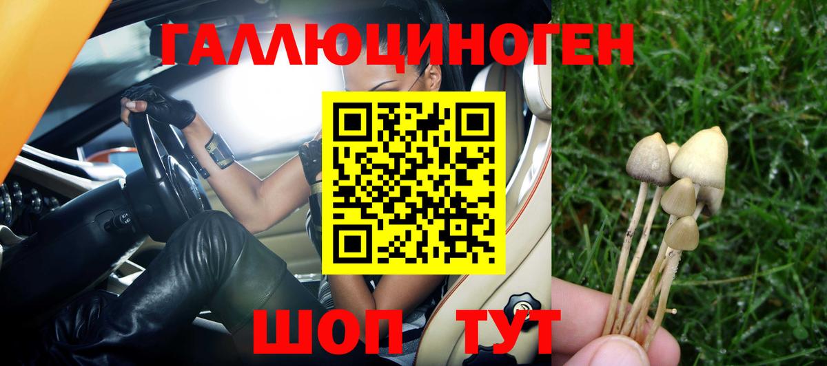 Псилоцибиновые грибы мухоморы Кунгур